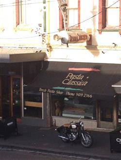 Pasta Classica retail store